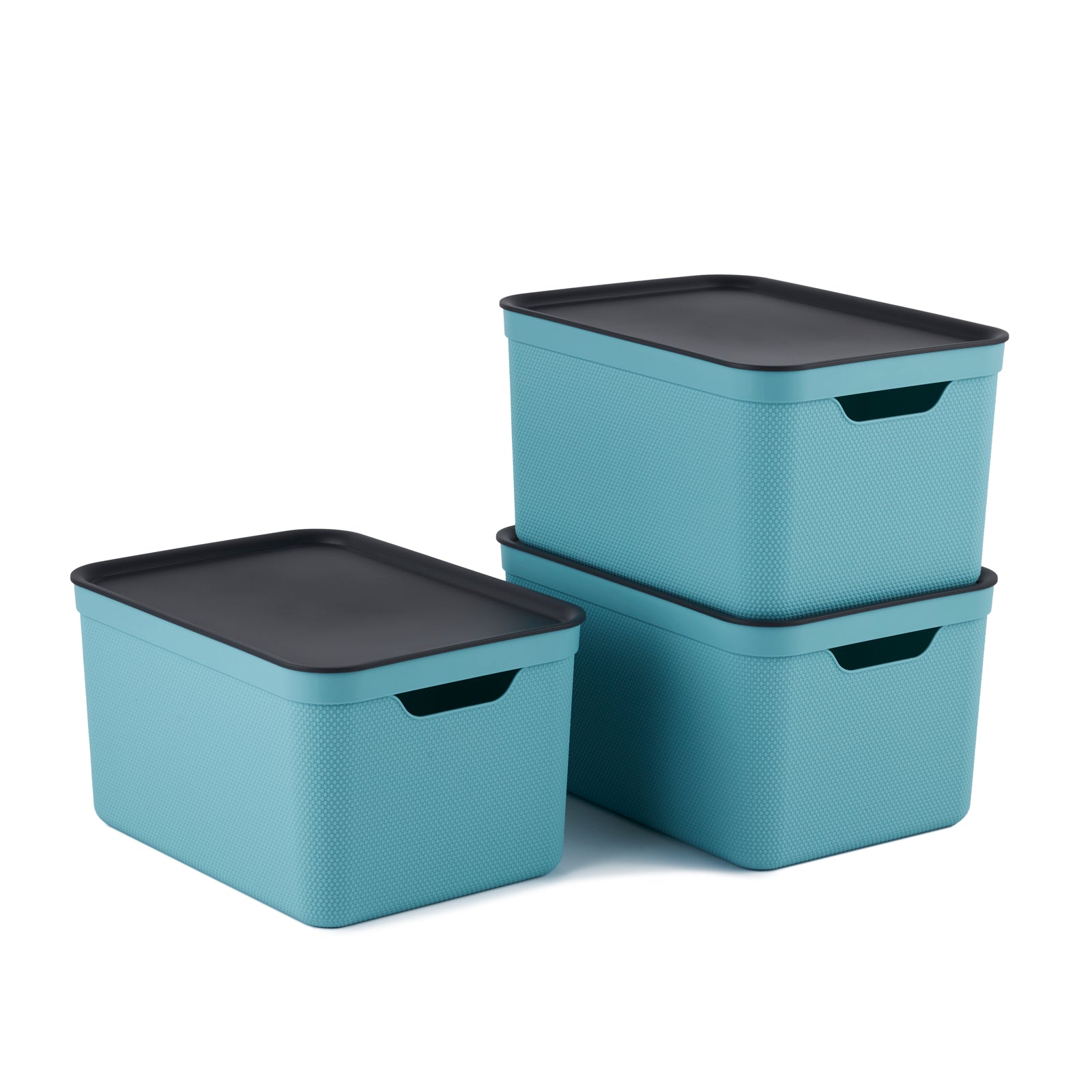 3er Set Dekobox mit Deckel DIN A4 JIVE – Rotho Schweiz