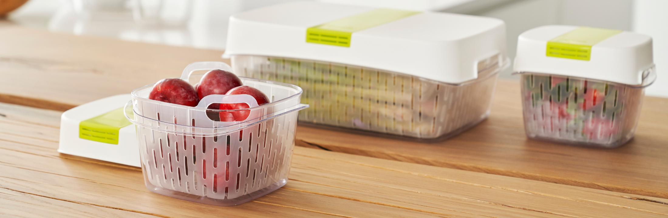 Dynamic Box FRESH – Rotho Schweiz