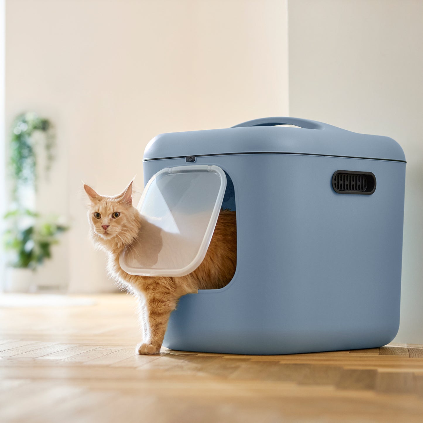 Biala XL cat toilet