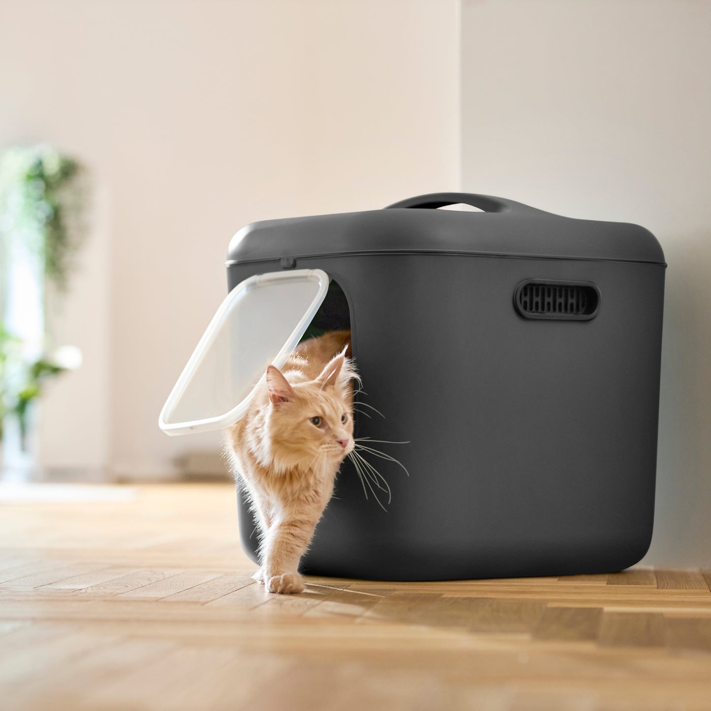 Biala XL cat toilet